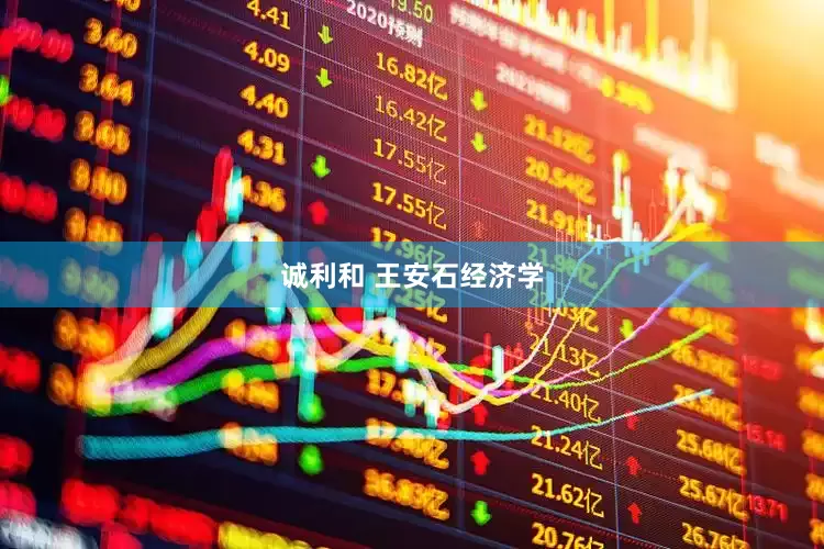 诚利和 王安石经济学