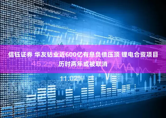 信钰证券 华友钴业近600亿有息负债压顶 锂电合资项目历时两年或被取消
