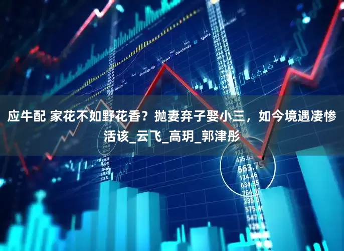 应牛配 家花不如野花香？抛妻弃子娶小三，如今境遇凄惨活该_云飞_高玥_郭津彤