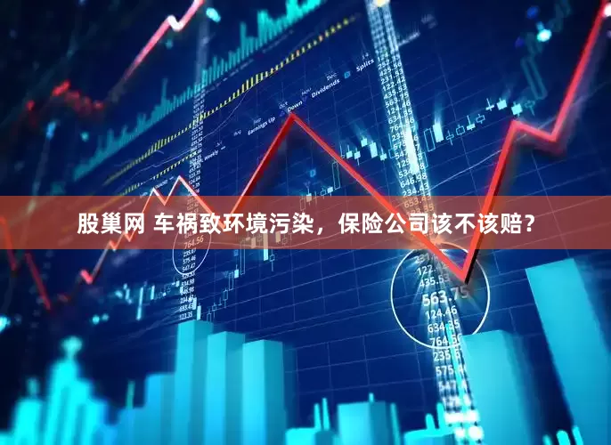 股巢网 车祸致环境污染，保险公司该不该赔？