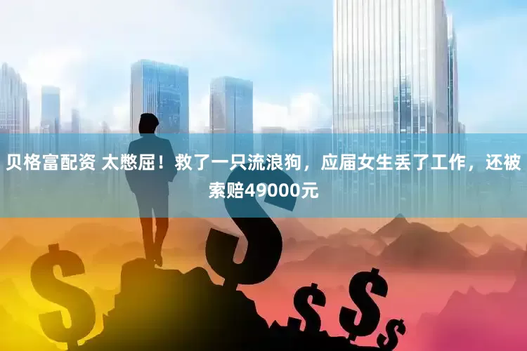 贝格富配资 太憋屈！救了一只流浪狗，应届女生丢了工作，还被索赔49000元